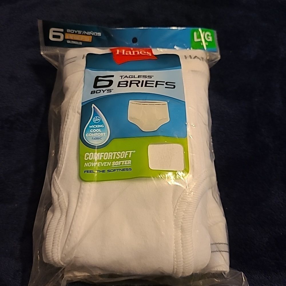 6 Pair of Hanes Tagless Briefs
